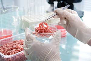 No demand for fake meat