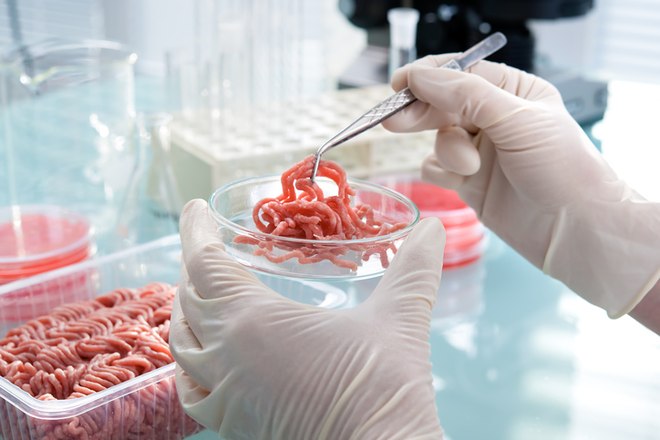 No demand for fake meat