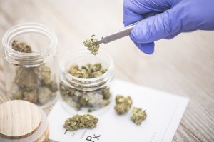Four out of ten Singaporeans support legalisation of medical marijuana