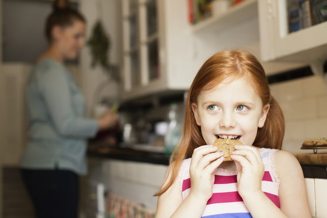 Infográfico: Las marcas de galletas líderes en España