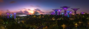 Singapore Advertiser of the Month: Gardens by the Bay