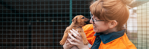 Animal welfare group RSPCA leads YouGov’s first Charity Rankings in Australia