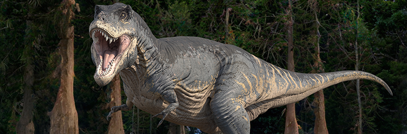 Most Americans say they would not want to bring dinosaurs back from  extinction | YouGov